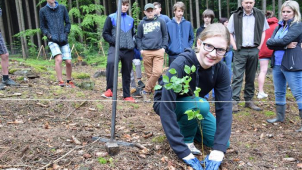 Pod Křemešníkem vyroste nový bukový les