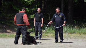 Kynologové ze Zakarpatí se učí od vysočinských policistů
