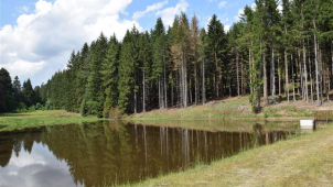 Zahrazené bystřiny jsou nejen akumulátorem vody v lese