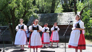 Bítešan získal ve Strážnici prestižní ocenění