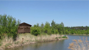 Starý Přísecký rybník dostane novou ptačí pozorovatelnu