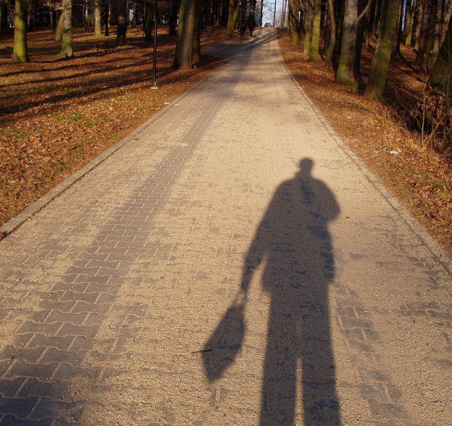 Kraj Vysočina úspěšně pokračuje v energetické politice