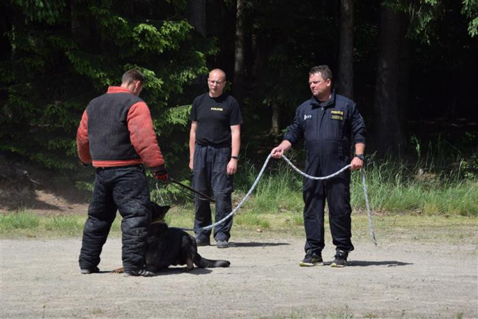 Kynologové ze Zakarpatí se učí od vysočinských policistů