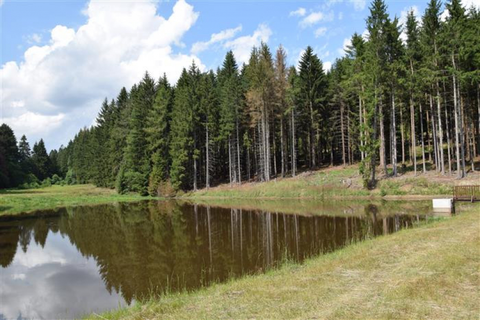 Zahrazené bystřiny jsou nejen akumulátorem vody v lese