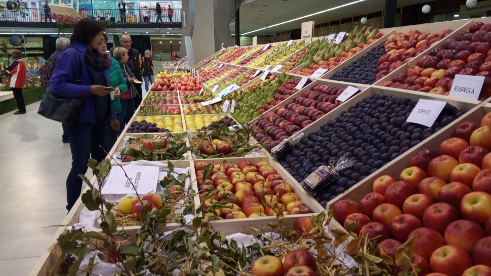 FOTO: Podzimní Flora se proměnila v Zahradní slavnost